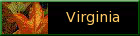 Virginia