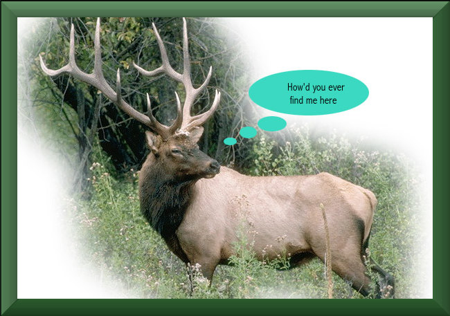 Elktalk3